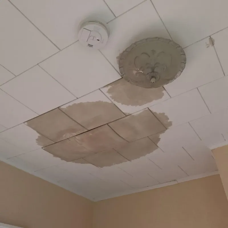 Ceiling Water Damage Repair in Charlotte Court House, VA