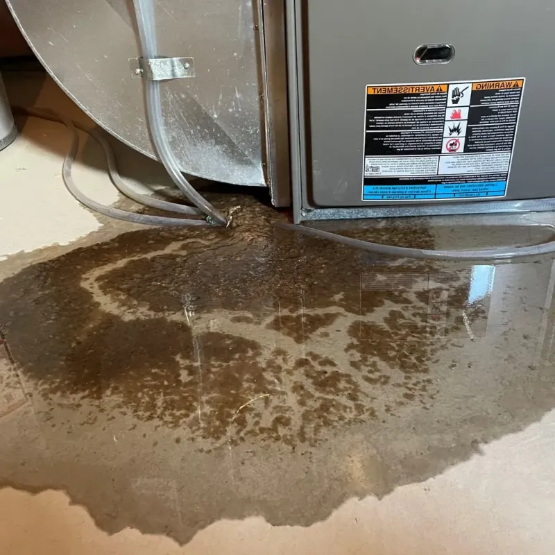 Pipe Burst and Leak Restoration in Charlotte Court House, VA